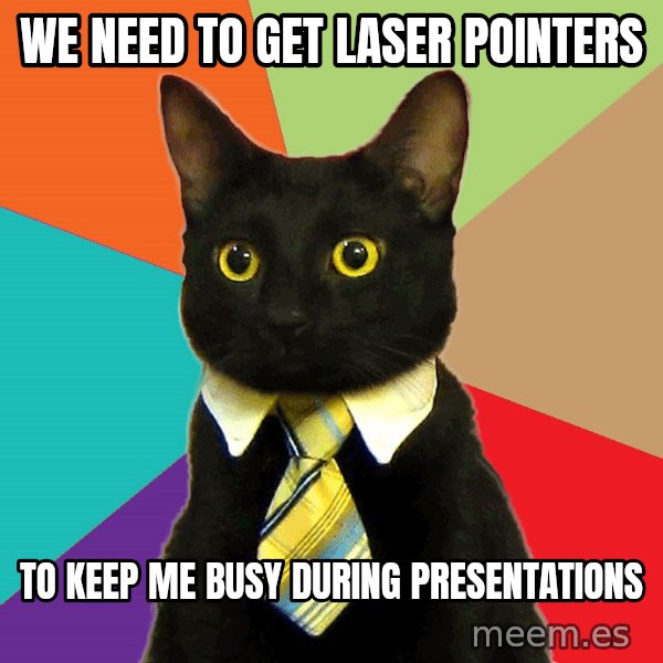 Business Cat meme: We need to get laser pointers / to keep me busy during presentations