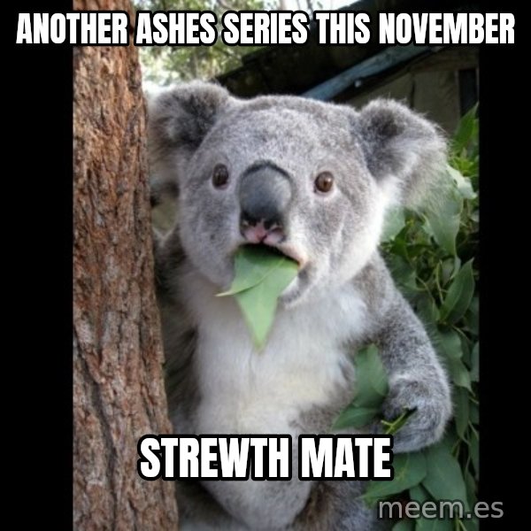 Koala can't believe it meme: Another Ashes series this November / Strewth Mate