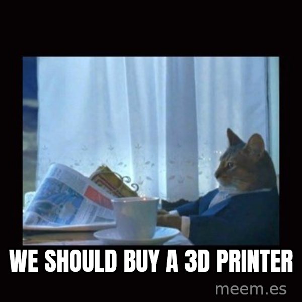 i should buy a boat cat meme: We should buy a 3D printer