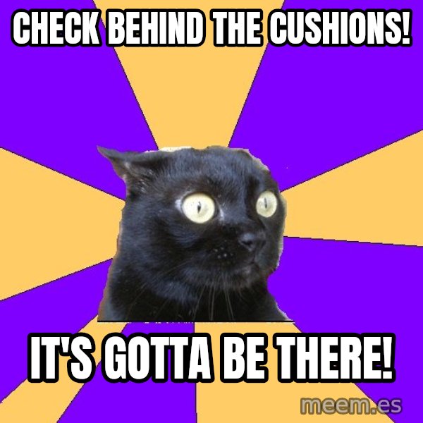 Anxiety Cat meme: check behind the cushions! / it's gotta be there!
