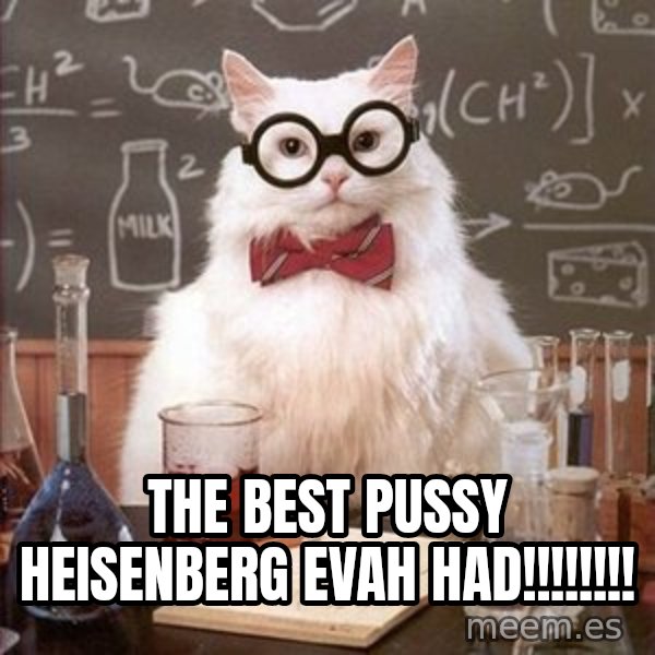Chemistry Cat meme: the best pussy Heisenberg evah had!!!!!!!!