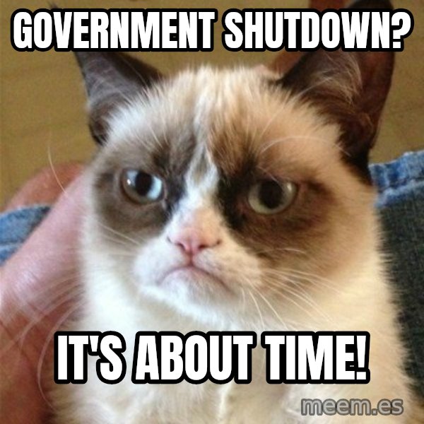 Grumpy Cat  meme: Government Shutdown? / It's about time!