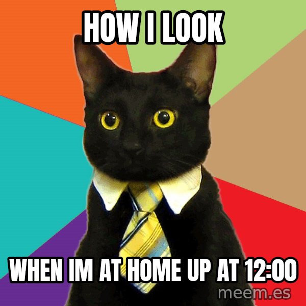 Business Cat meme: How I Look / When im AT Home Up AT 12:00