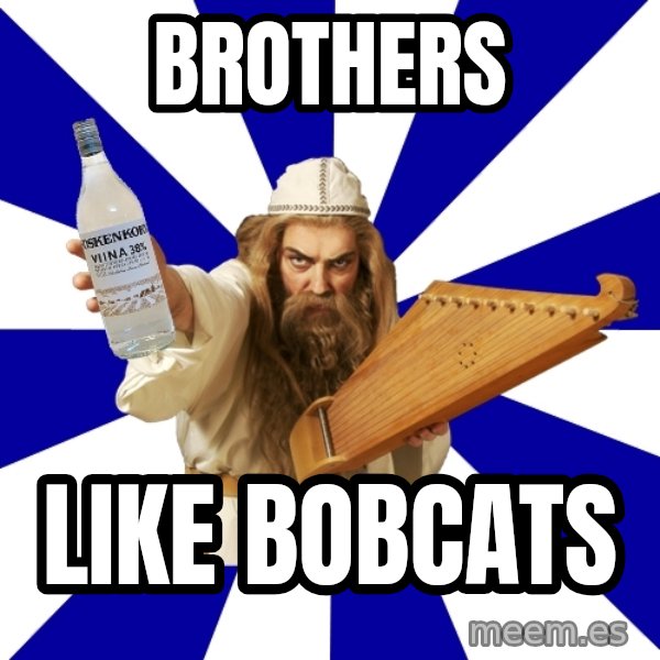 FinnishProblems meme: BROTHERS / LIKE BOBCATS