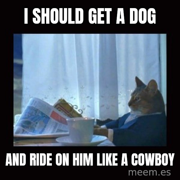 i should buy a boat cat meme: I SHOULD GET A DOG / AND RIDE ON HIM LIKE A COWBOY