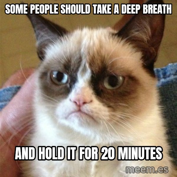 Grumpy Cat  meme: Some people should take a deep breath / And hold it for 20 minutes