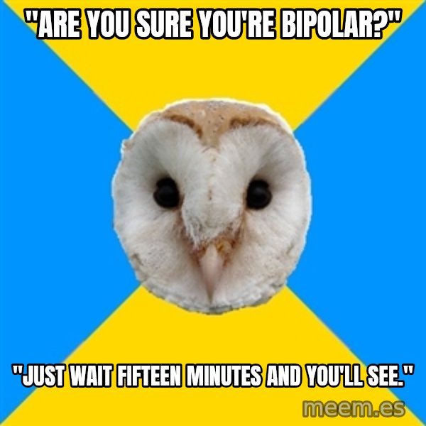 Bipolar Owl meme: "are you sure you're bipolar?" / "just wait fifteen minutes and you'll see."