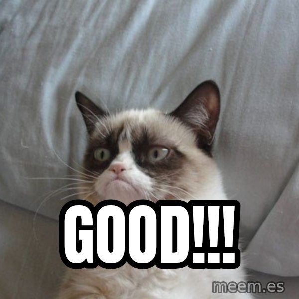 Grumpy cat good meme: GOOD!!!