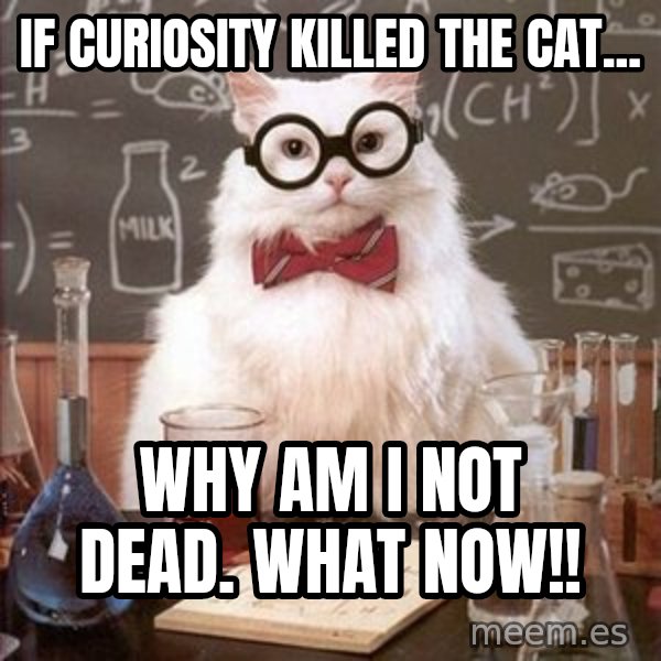 Chemistry Cat meme: if Curiosity killed the cat... / why am i not dead. what now!!