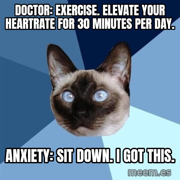 Chronic Illness Cat meme: Doctor: Exercise. Elevate your heartrate for 30 minutes per day. / Anxiety: Sit down. I got this.