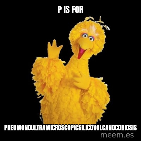 BIG BIRD meme meme: P is for / pneumonoultramicroscopicsilicovolcanoconiosis