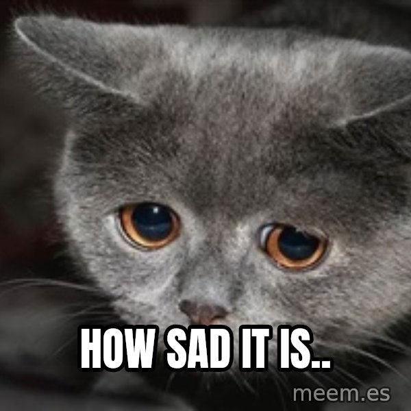 Sadcat meme: HOW SAD IT IS..