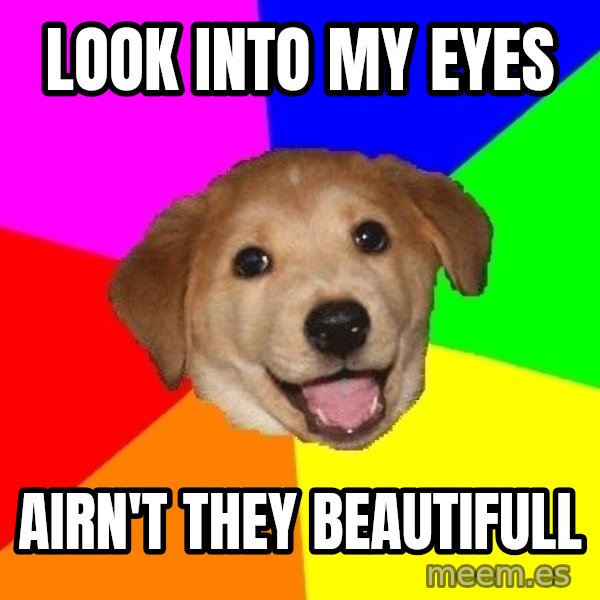 Advice Dog meme: LOOK INTO MY EYES / AIRN'T THEY BEAUTIFULL