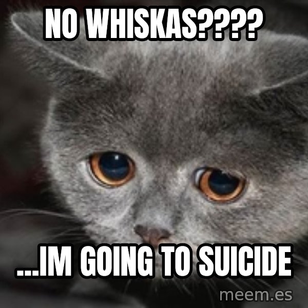 Sadcat meme: No Whiskas???? / ...im going to suicide