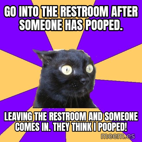 Anxiety Cat meme: Go into the restroom after someone has pooped. / Leaving the restroom and someone comes in.  They think I pooped!