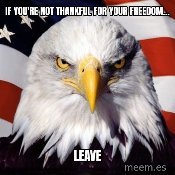 American Pride Eagle meme: If you're not thankful for your freedom... / LEAVE