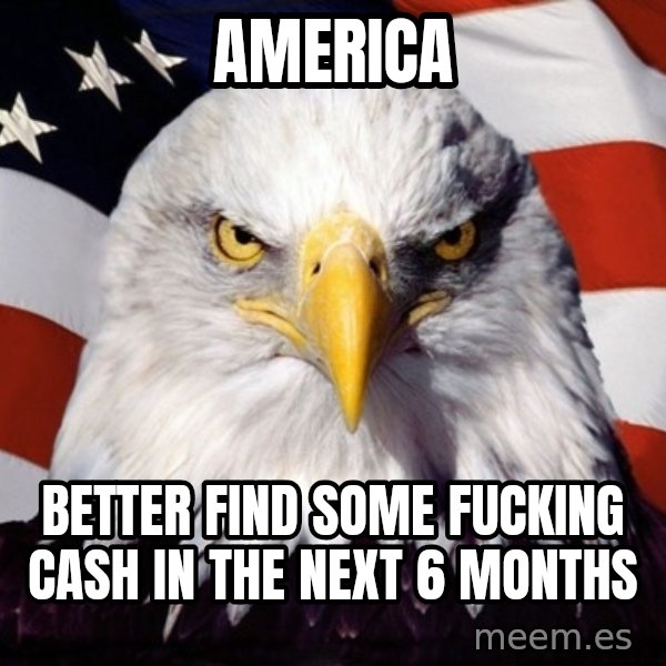 American Pride Eagle meme: america / better find some fucking cash in the next 6 months