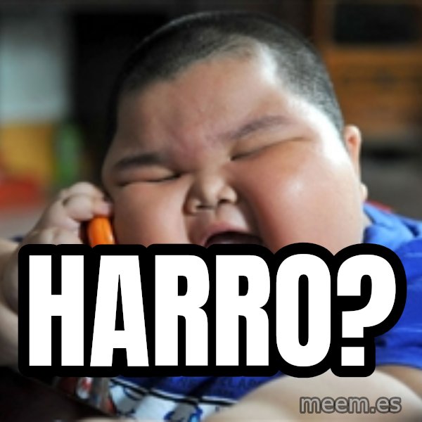 fat chinese kid meme: Harro?