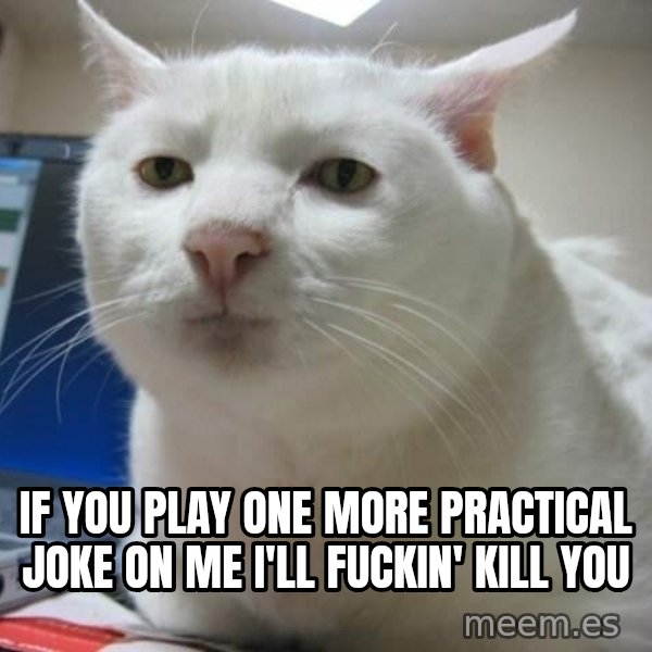 Serious Cat meme: if you play one more practical joke on me i'll fuckin' kill you