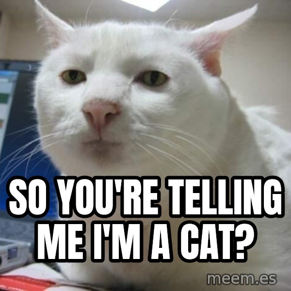 Serious Cat meme: so you're telling me i'm a cat?