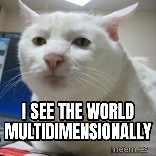 Serious Cat meme: i see the world multidimensionally
