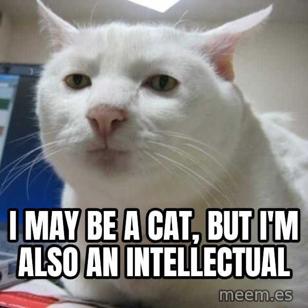 Serious Cat meme: i may be a cat, but i'm also an intellectual