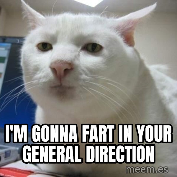 Serious Cat meme: i'm gonna fart in your general direction