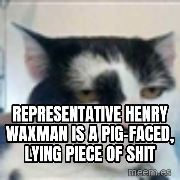 Serious Cat meme: representative henry waxman is a pig-faced, lying piece of shit