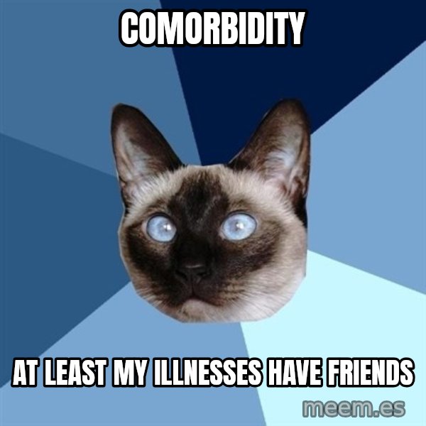 Chronic Illness Cat meme: Comorbidity / at least my illnesses have friends