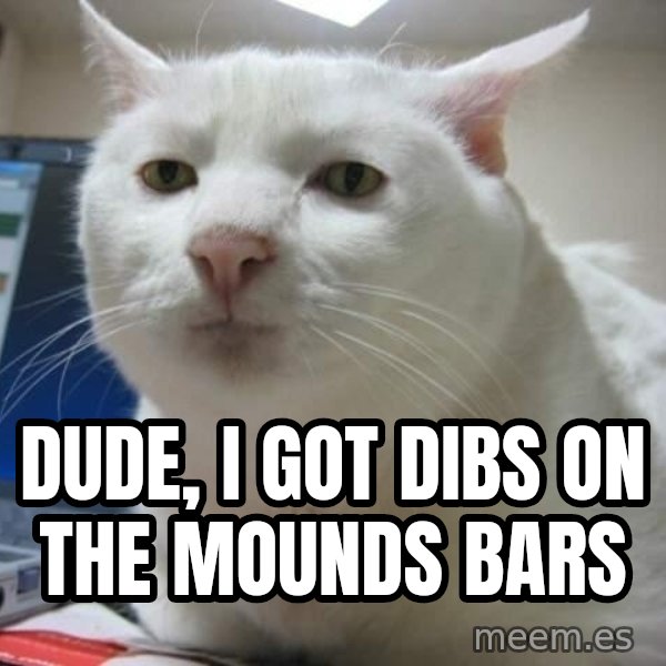 Serious Cat meme: dude, i got dibs on the mounds bars