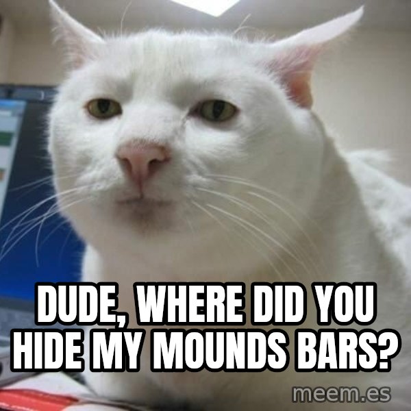 Serious Cat meme: dude, where did you hide my mounds bars?