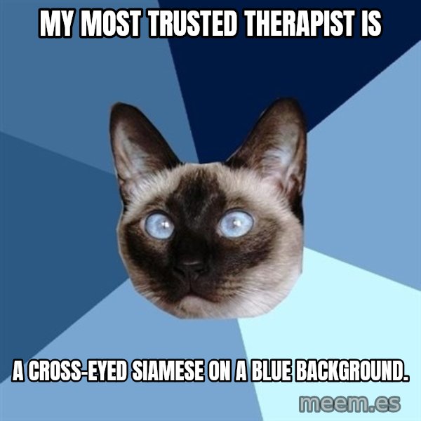 Chronic Illness Cat meme: My most trusted therapist is / a cross-eyed siamese on a blue background.
