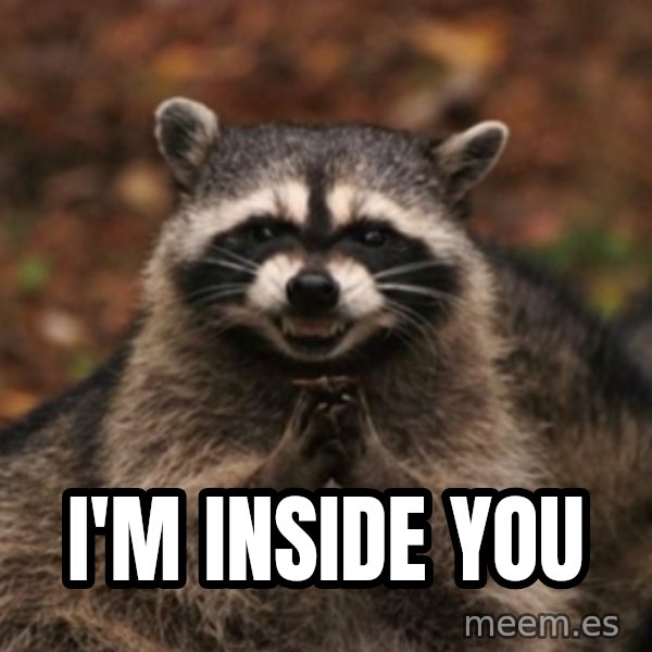 evil raccoon meme: i'm inside you