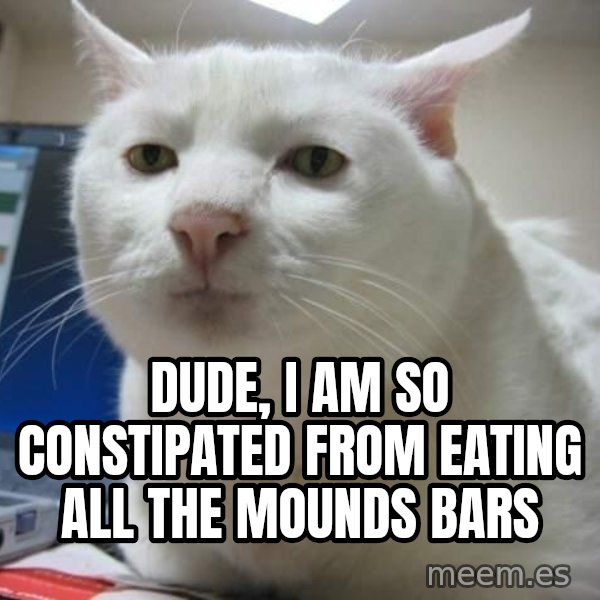 Serious Cat meme: dude, i am so constipated from eating all the mounds bars
