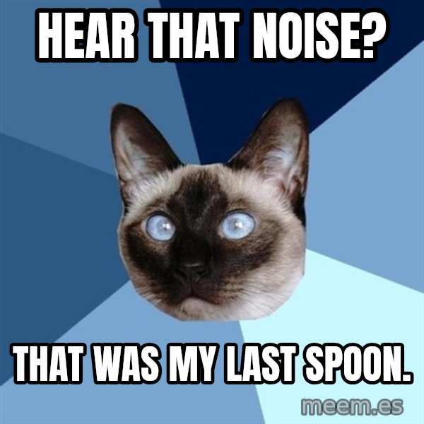 Chronic Illness Cat meme: HEAR THAT NOISE? / THAT WAS MY LAST SPOON.