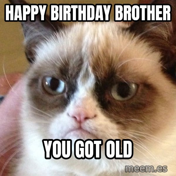 Angry Cat Meme meme: happy birthday brother / you got old