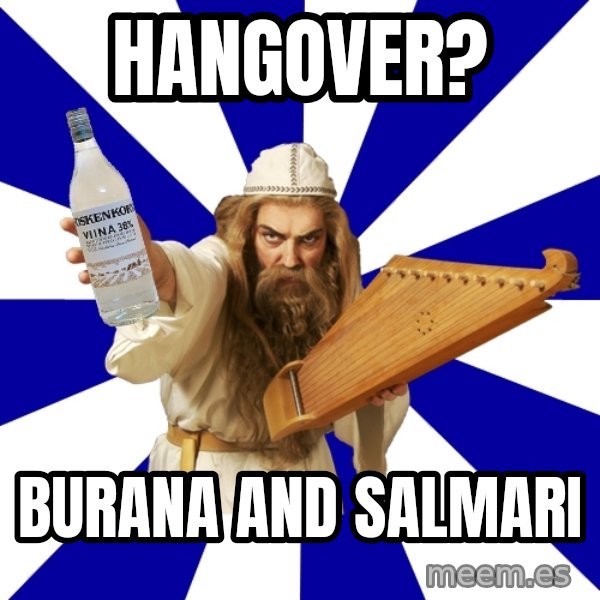 FinnishProblems meme: Hangover? / Burana and salmari