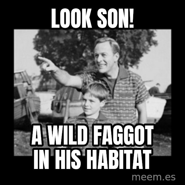 look son a faggot meme: look son! / a wild faggot in his habitat