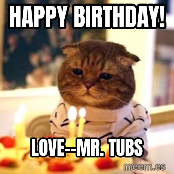 Birthday Cat meme: Happy Birthday! / Love--Mr. Tubs
