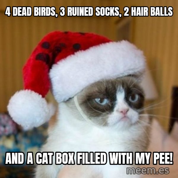 Grumpy Cat Santa Hat meme: 4 dead birds, 3 ruined socks, 2 hair balls / And a cat box filled with my pee!