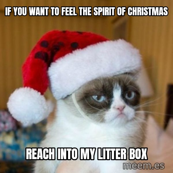 Grumpy Cat Santa Hat meme: If you want to feel the spirit of christmas / Reach into my litter box