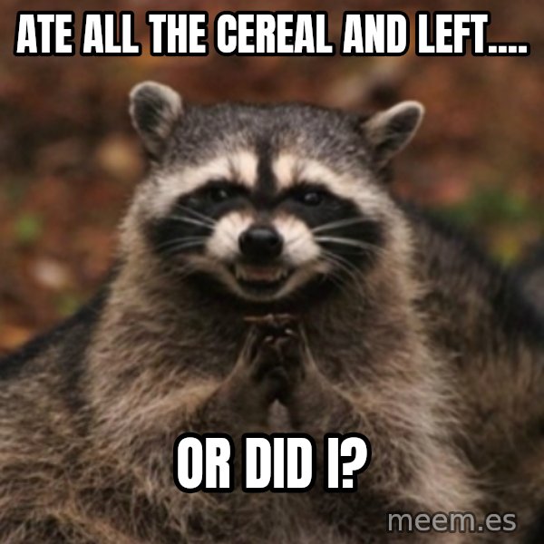 evil raccoon meme: Ate all the cereal and left.... / Or did I?