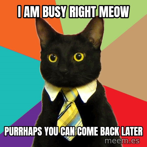 Business Cat meme: I am busy right Meow / Purrhaps you can  come back later