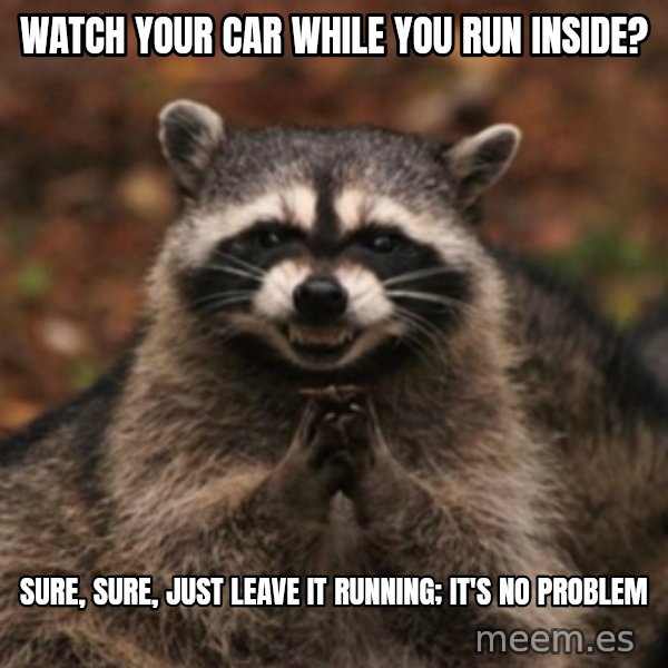 evil raccoon meme: watch your car while you run inside? / sure, sure, just leave it running; it's no problem