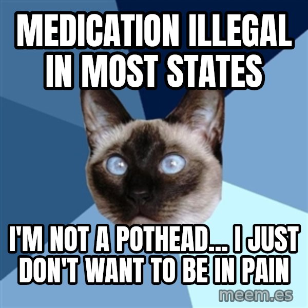 Chronic Illness Cat meme: Medication illegal in most states / I'm not a pothead... I just don't want to be in pain