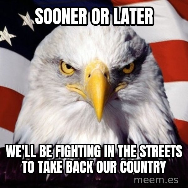 American Pride Eagle meme: sooner or later / we'll be fighting in the streets to take back our country