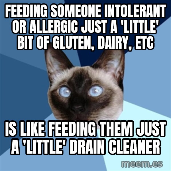 Chronic Illness Cat meme: Feeding someone intolerant or allergic  just a 'little' bit of gluten, dairy, etc / is like feeding them just a 'little' drain cleaner