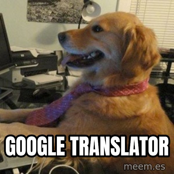 I have no idea what I'm doing - Dog with Tie meme: google translator