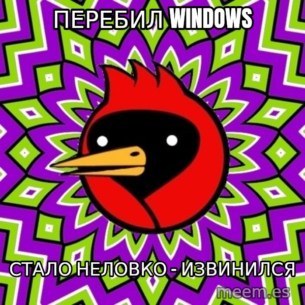 Omsk Crow meme: Перебил Windows / стало неловко - извинился