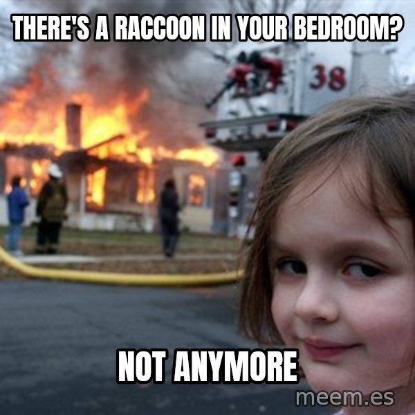 Disaster Girl meme: There's a raccoon in your bedroom? / Not anymore